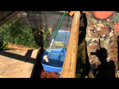 YouTube reptile video