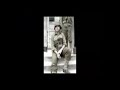 Green Fields of France Music Video