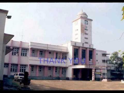 College Of Veterinary And Animal Sciences Mannuthy Admission 2021 Courses Fee Cutoff Ranking Placements Scholarship College Of Veterinary And Animal Sciences Mannuthy Admission 2021 Courses Fee Cutoff Ranking Placements Scholarship