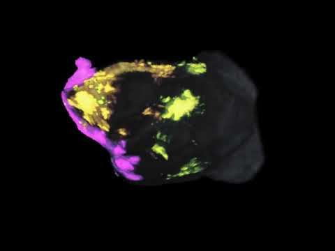 Flatmap stack mapping