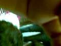 videos de Nikhil Birthday party Video 28/11/2008(001).mp4