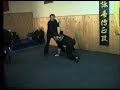 William cheung wing chun seminar in serbia 2005