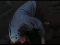  - MovieZen Video
