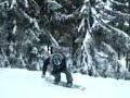 wessel (360) winterberg