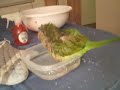 Daffy Takes a Bath