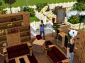 Los Sims 3 - Nacimento de bebe en hospital