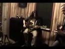 veil of phasmids-rooster veil of phasmids-rooster