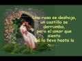 te amo mas que nadie te amo mas que nadie