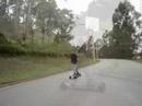 Carveboarding & Skateboarding