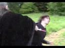 Guttering 3 - Trailer 2 Guttering 3 - Trailer 2