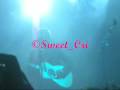 videos de Sonohra@Matera (Love Show 2) 28-12-08
