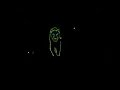 Laser Show in Jamshedpur - Laser Show