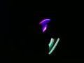 Fire poi and diabolo to bombat infected mushroom Fire poi and diabolo to bombat infected mushroom