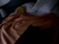 Argel�s sur mer