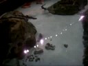 Georgia Acuarium 7
