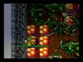 videos de Tibia Ot Pk