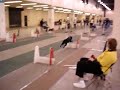 Jumpmasters - All Shook Up Flyball Team