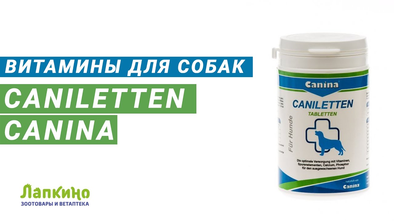CANILETTEN от CANINA ( КАНИЛЕТТЕН ) / Пищевые Добавки и Витамины для Собак / Лапкино (ПЕТШОП 78)