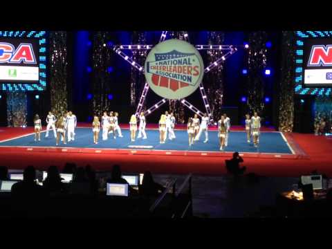 california wildcats