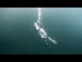 The Billion Sardine Dance HD