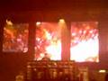 einde ophidian / begin electronic pig machine city