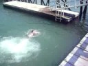 Brian Diving Off Railing