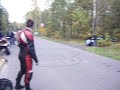 szykana bia?a podlaska