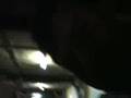 videos de Filsat Outing And Laguna EB V-4