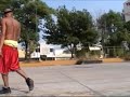 ボール猫動画