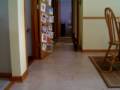 cat fetches ball