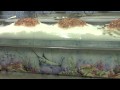 Pescheria Prodotti del Mare Fiumicino by Adriatic Sea.m4v