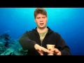 Classic Game Room - BEST CGR REVIEW 2011: Viewers' Choice Awards