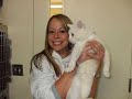 vet tech/kirby vid vet tech/kirby vid