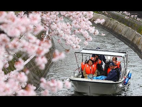 琵琶湖疏水クルーズ＝水面から満開の桜と歴史施設を堪能