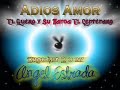Adios Amor