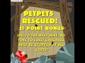 Neopets Game - Petpet Rescue Neopets Game - Petpet Rescue