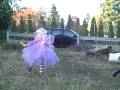 videos de Anastazia the fairy