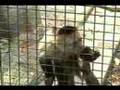 SFCC Teaching Zoo - My Florida Showcase