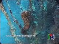 Los Roques - Venezuela