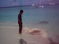 Stingray Feeding At Banyan Tree Maldives