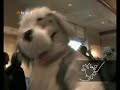 FC 2004 Fursuit Parade