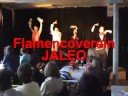 Flamencoverein Jaleo www.jaleo.at