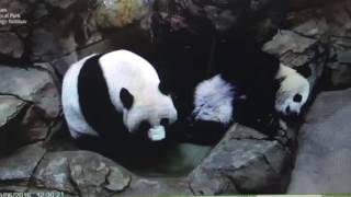 Smithsonian National Zoo