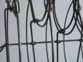 bare bones