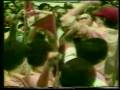 Manifestaciones en El Salvador en los '80 Arena FMLN Duarte