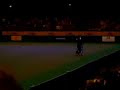 Crufts 2008 - Heelwork to Music - Winners (2)