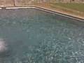 videos de VID 00029.3GP