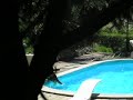 Rissol plays in his swimming pool
