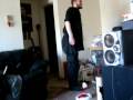 Cat plays fetch