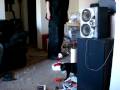 Cat plays fetch